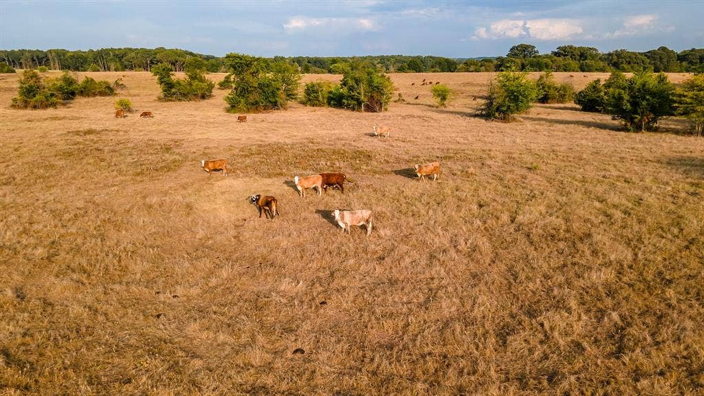 00 W FM 344, Bullard, TX 75757 00 W FM 344, Bullard, TX 75757