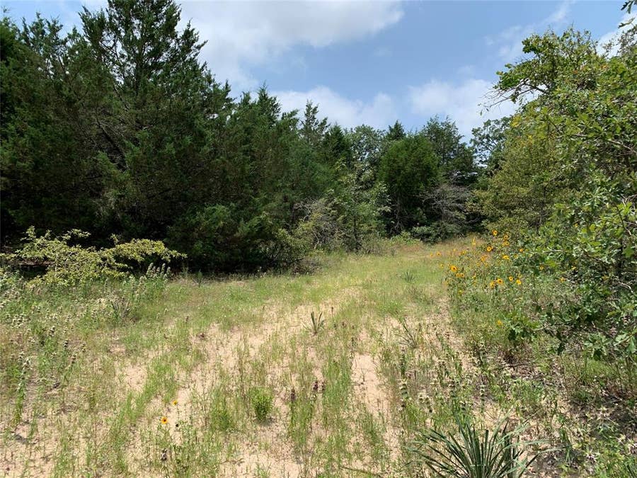 Property photo for TBD FM 2494, Athens, TX
