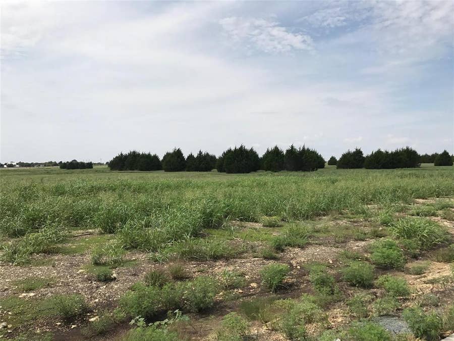 Property photo for 1310 Carroll Moran Trail, Midlothian, TX