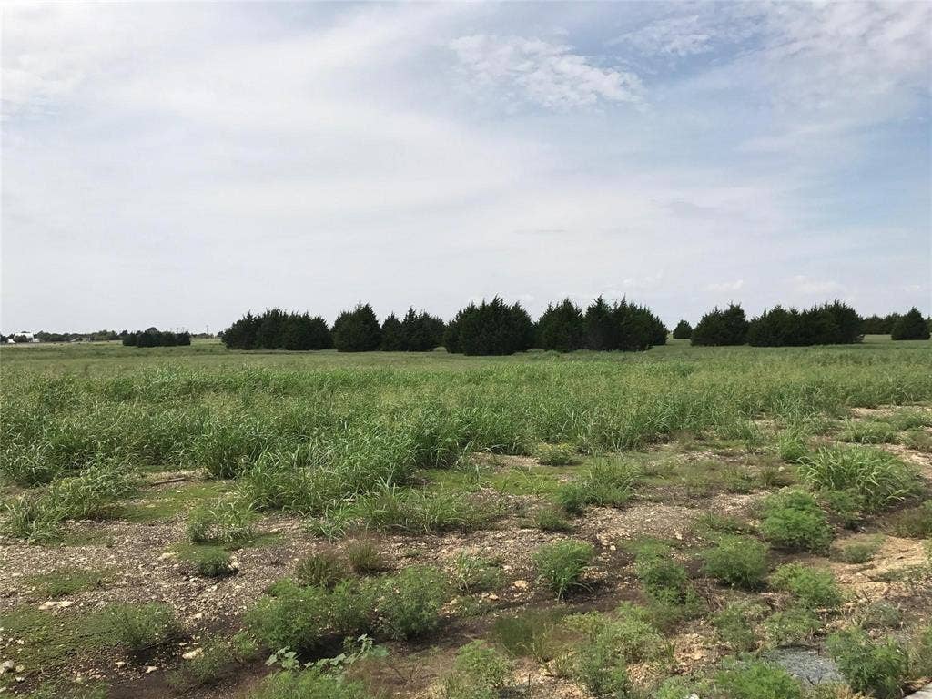 5220 Bravo Road, Midlothian, TX 76065