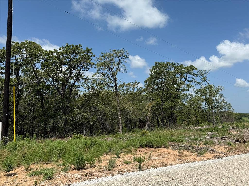 View from the edge of the property at the street