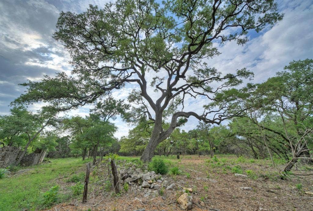 11916 Jim Bridger Drive, Austin, TX 78737 11916 Jim Bridger Drive, Austin, TX 78737