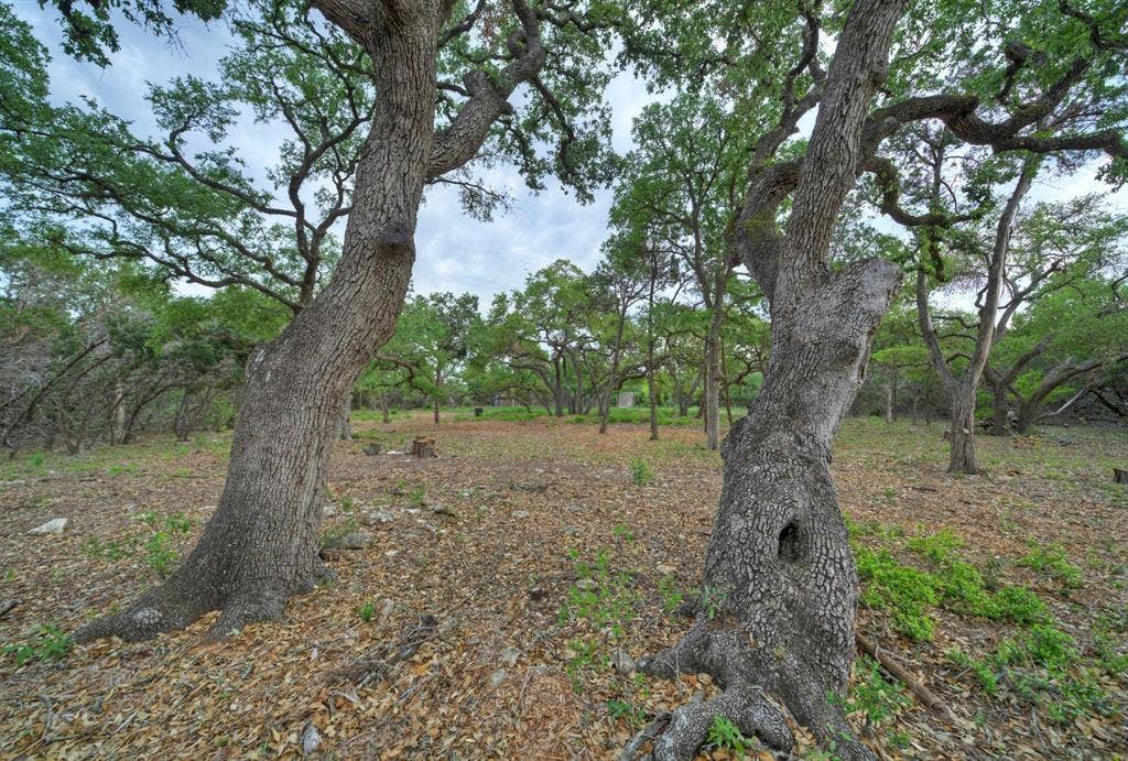 11916 Jim Bridger Drive, Austin, TX 78737 11916 Jim Bridger Drive, Austin, TX 78737