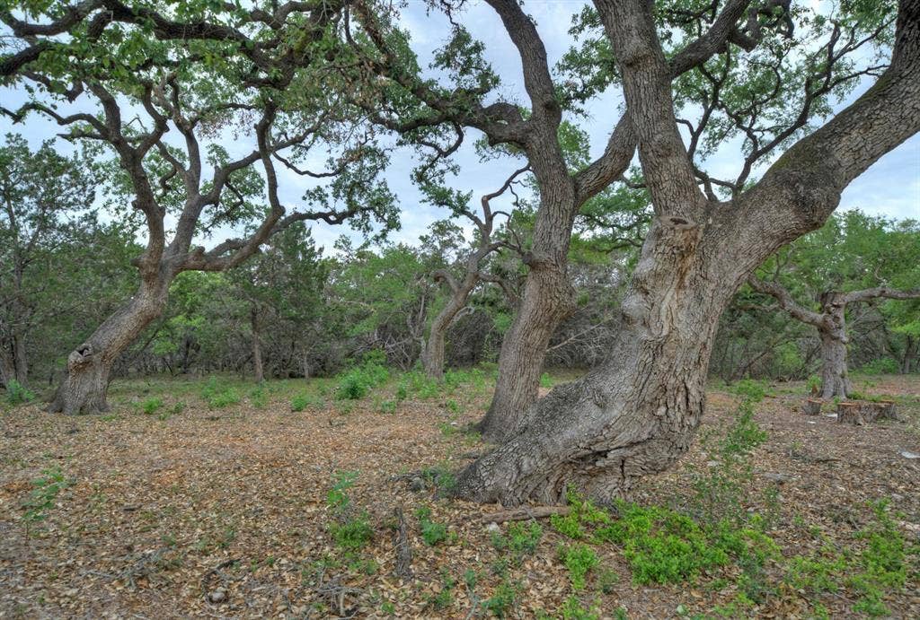 11916 Jim Bridger Drive, Austin, TX 78737 11916 Jim Bridger Drive, Austin, TX 78737