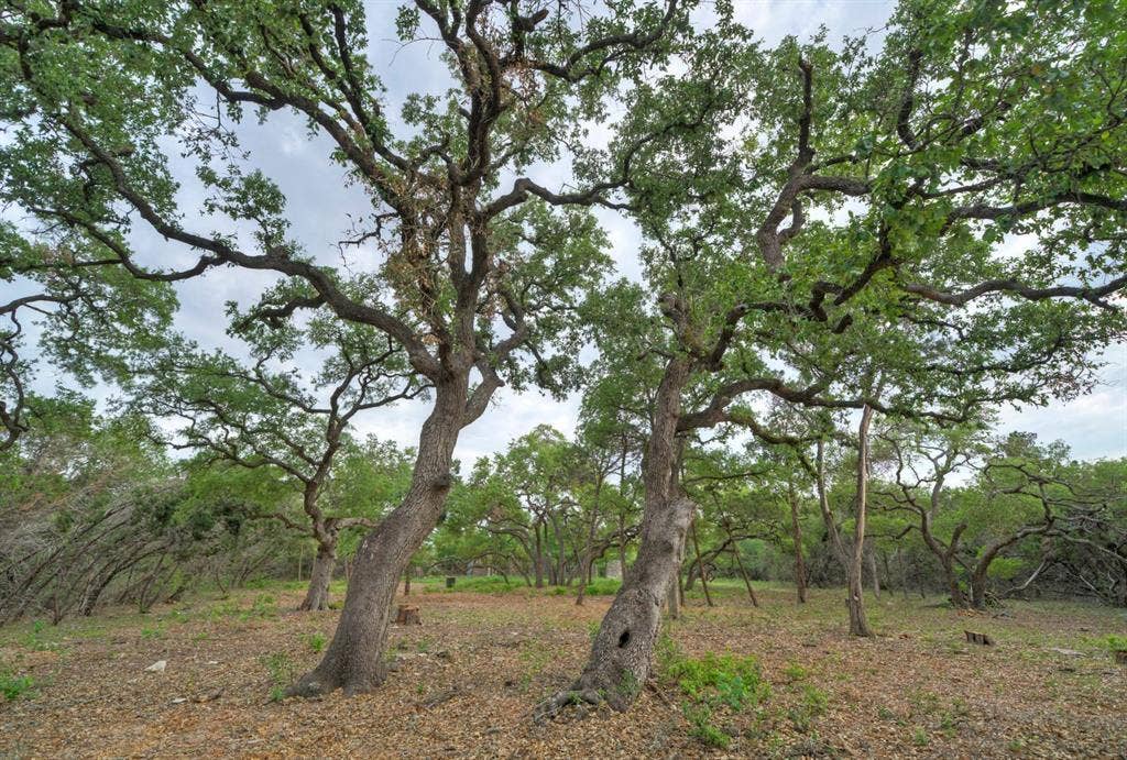 11916 Jim Bridger Drive, Austin, TX 78737 11916 Jim Bridger Drive, Austin, TX 78737