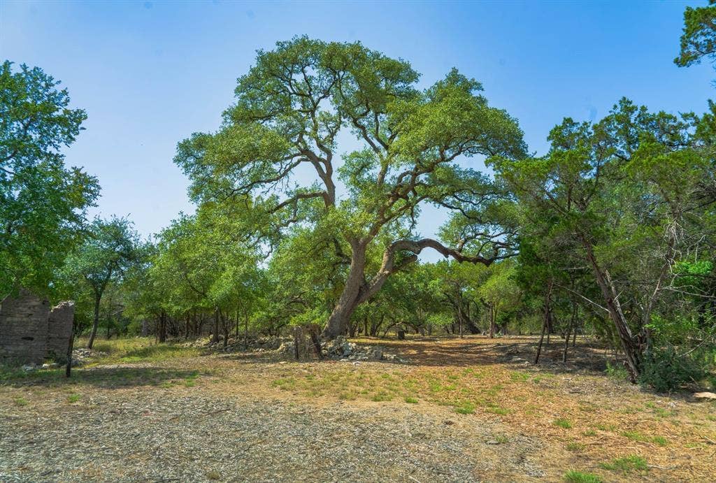 11916 Jim Bridger Drive, Austin, TX 78737 11916 Jim Bridger Drive, Austin, TX 78737