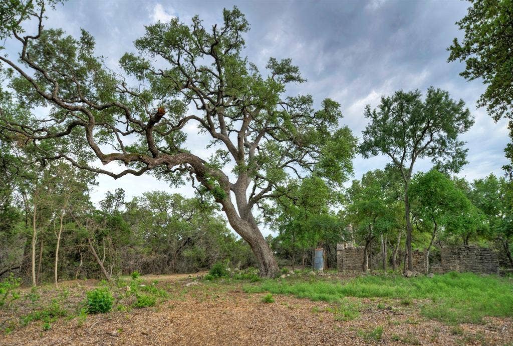 11916 Jim Bridger Drive, Austin, TX 78737 11916 Jim Bridger Drive, Austin, TX 78737