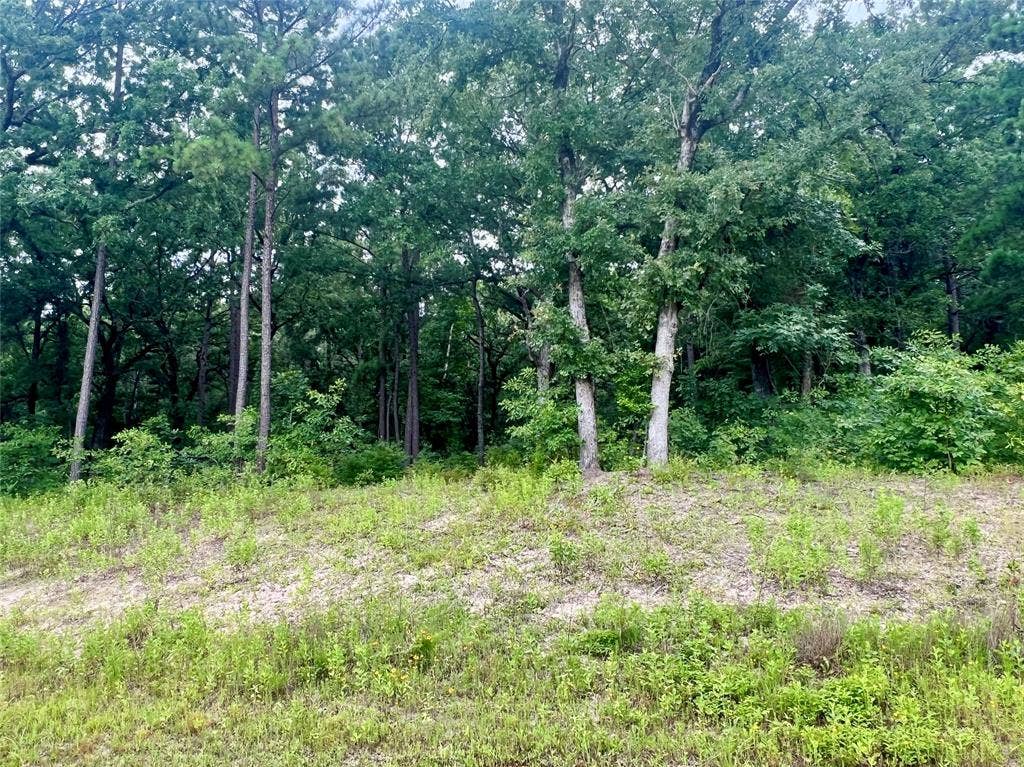 3289 Shadow Pine Drive, Larue, TX 75770 Four Acres of beautifully treed land.