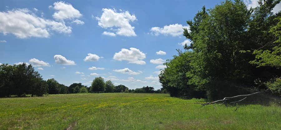 Property photo for 12077 County Road 1200, Malakoff, TX