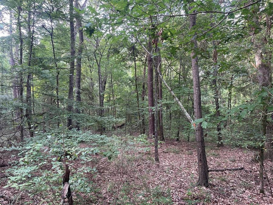 Property photo for TBD Fm-16, Winona, TX