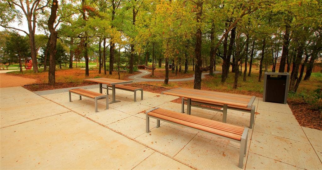 224 Bee Balm Road, McKinney, TX 75071 Community Photo