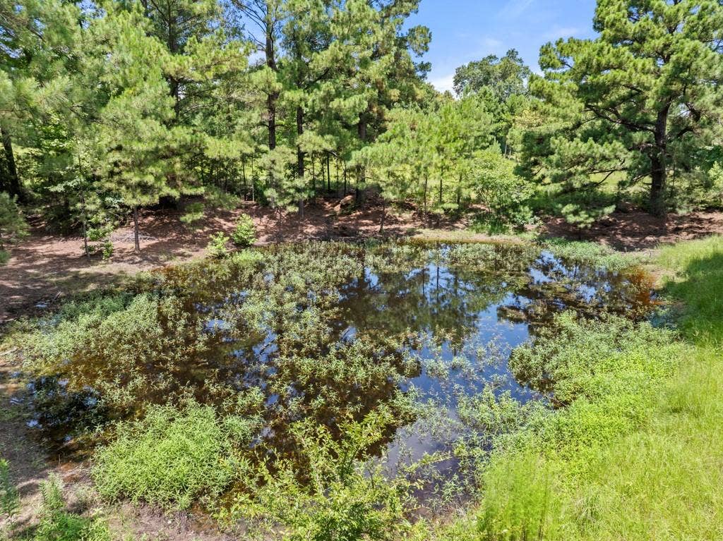 5353 CR 385, Tyler, TX 75708 Water view featuring a heavily wooded area