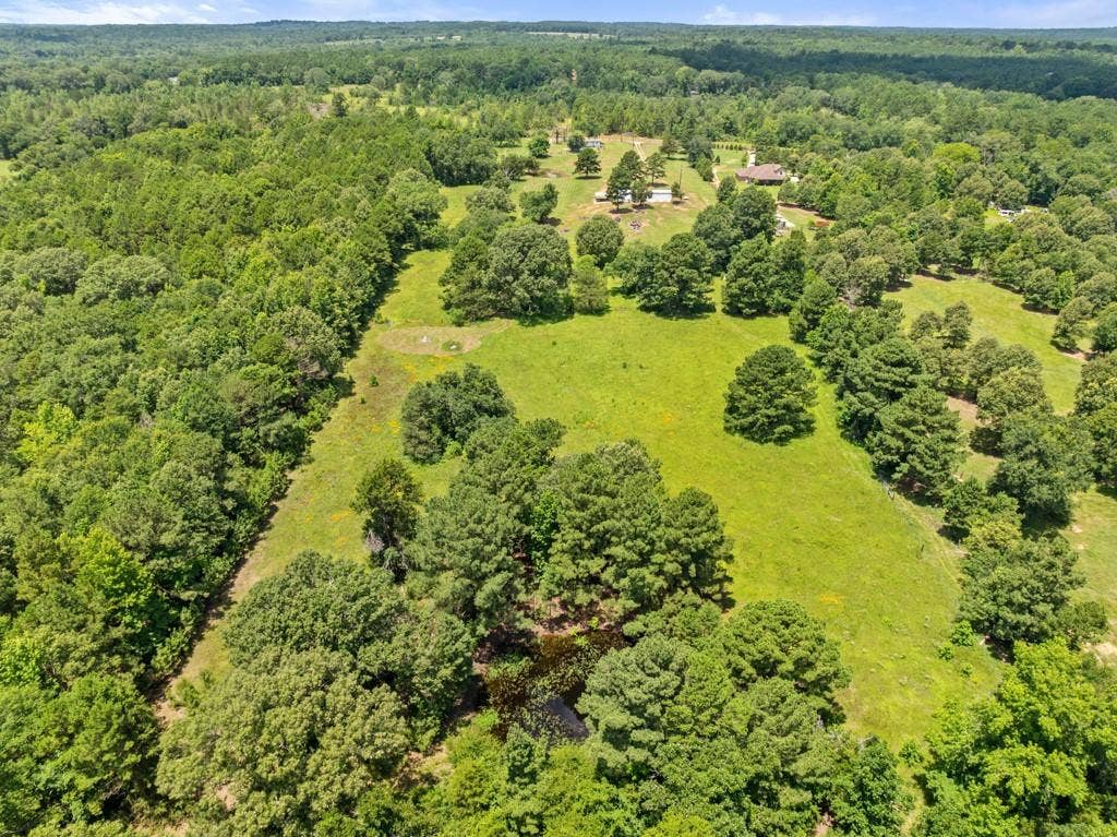 5353 CR 385, Tyler, TX 75708 Bird's eye view of a forest