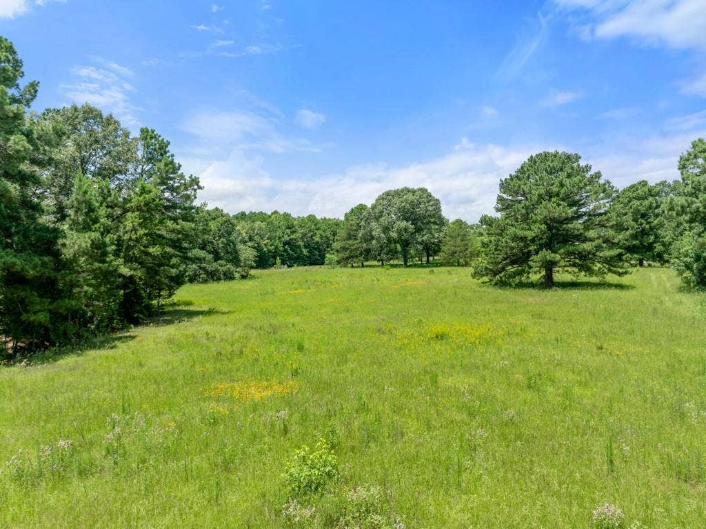 5353 CR 385, Tyler, TX 75708 View of yard featuring a view of countryside and a view of trees