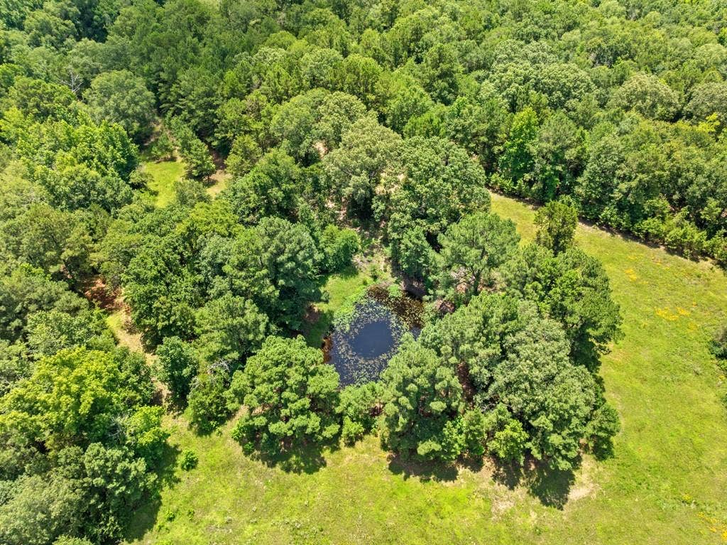 5353 CR 385, Tyler, TX 75708 Bird's eye view of a heavily wooded area