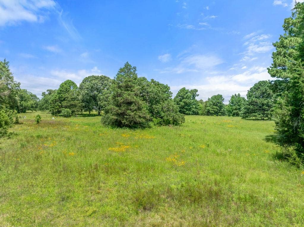 5353 CR 385, Tyler, TX 75708 View of undeveloped land with rural landscape
