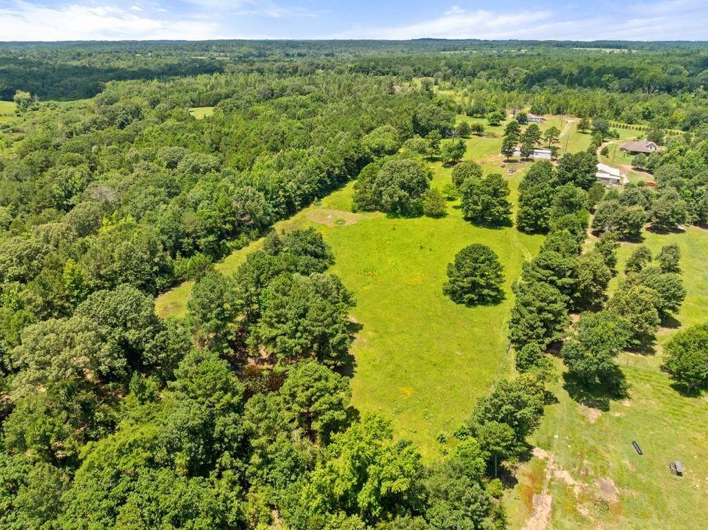 5353 CR 385, Tyler, TX 75708 Aerial view of a forest