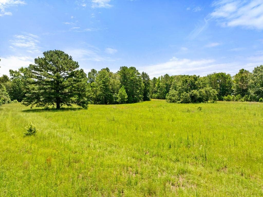5353 CR 385, Tyler, TX 75708 View of undeveloped land featuring rural landscape