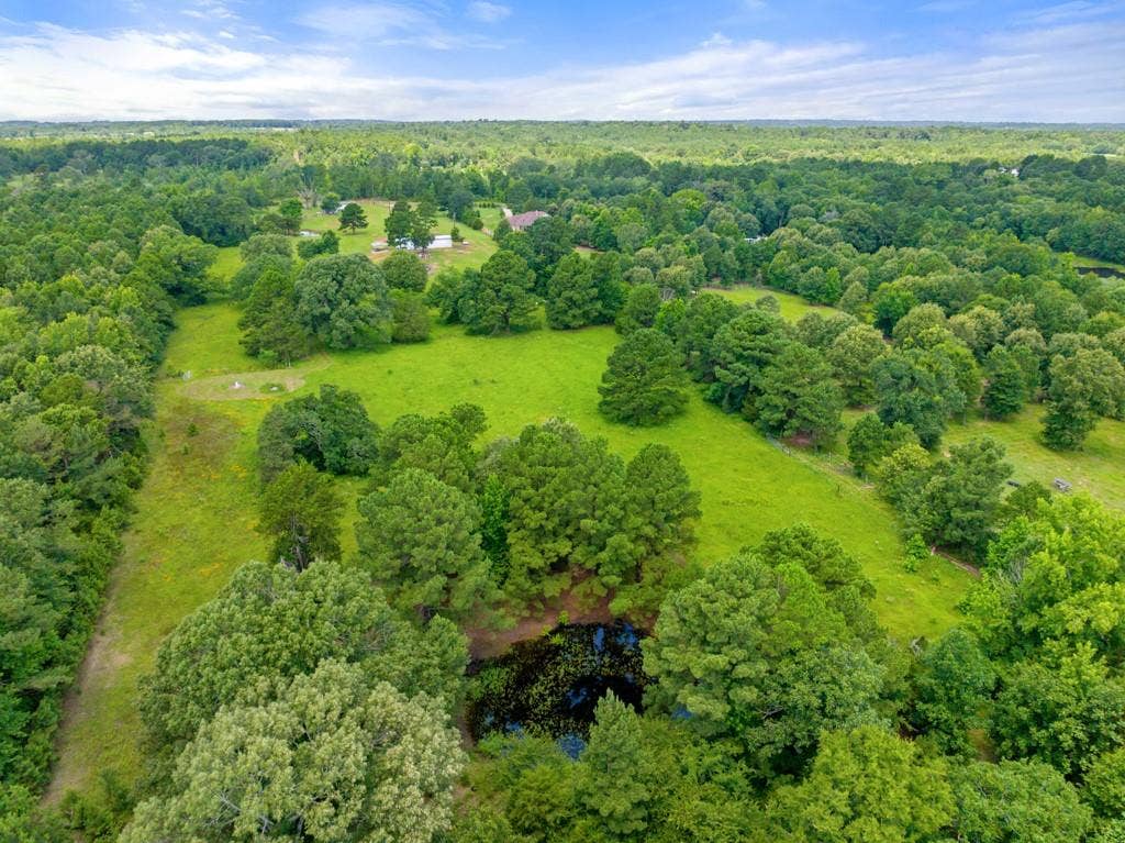5353 CR 385, Tyler, TX 75708 Aerial view of a heavily wooded area