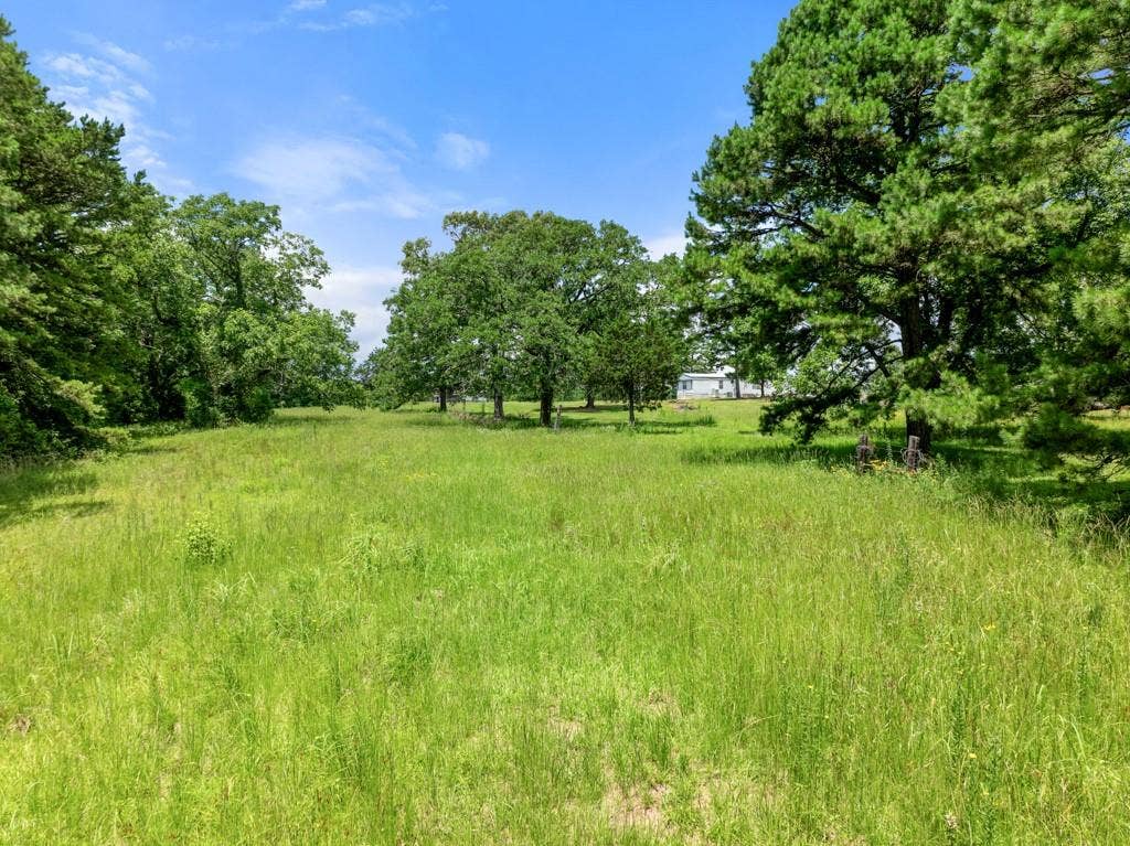 5353 CR 385, Tyler, TX 75708 View of yard