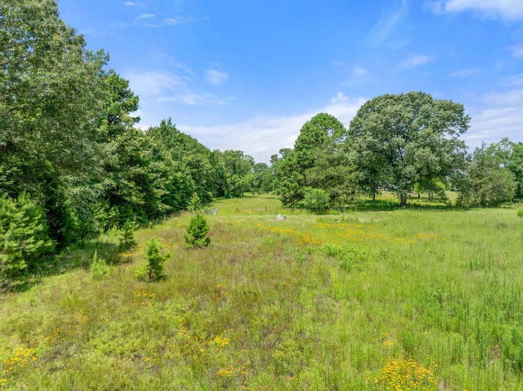 5353 CR 385, Tyler, TX 75708 View of nature