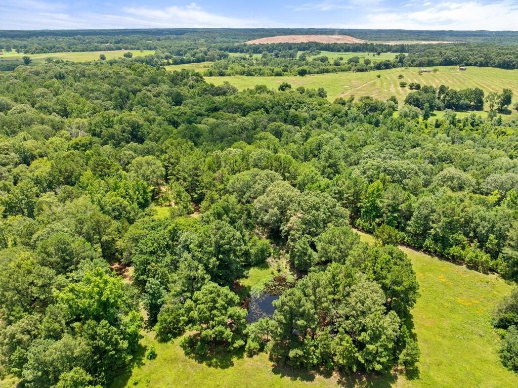 5353 CR 385, Tyler, TX 75708 Aerial view of a heavily wooded area