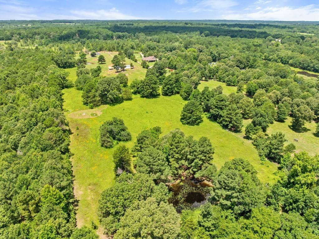 5353 CR 385, Tyler, TX 75708 Bird's eye view of a forest