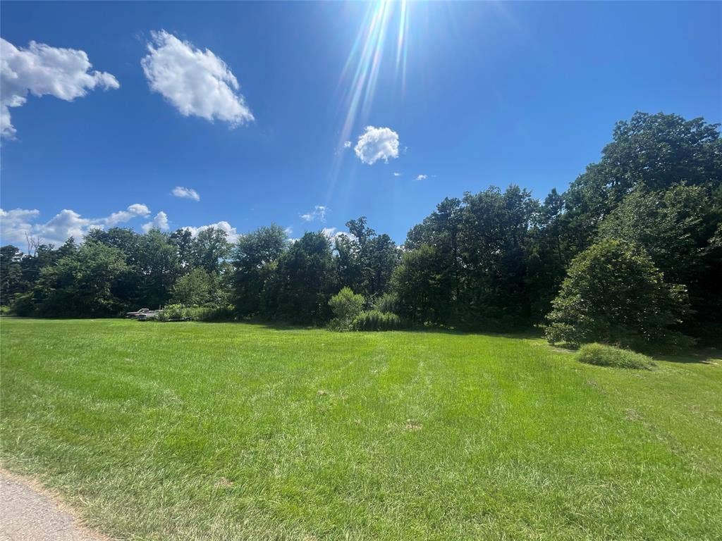 258 PR 6646, Mineola, TX 75773 Other side of Private Road, part of property.