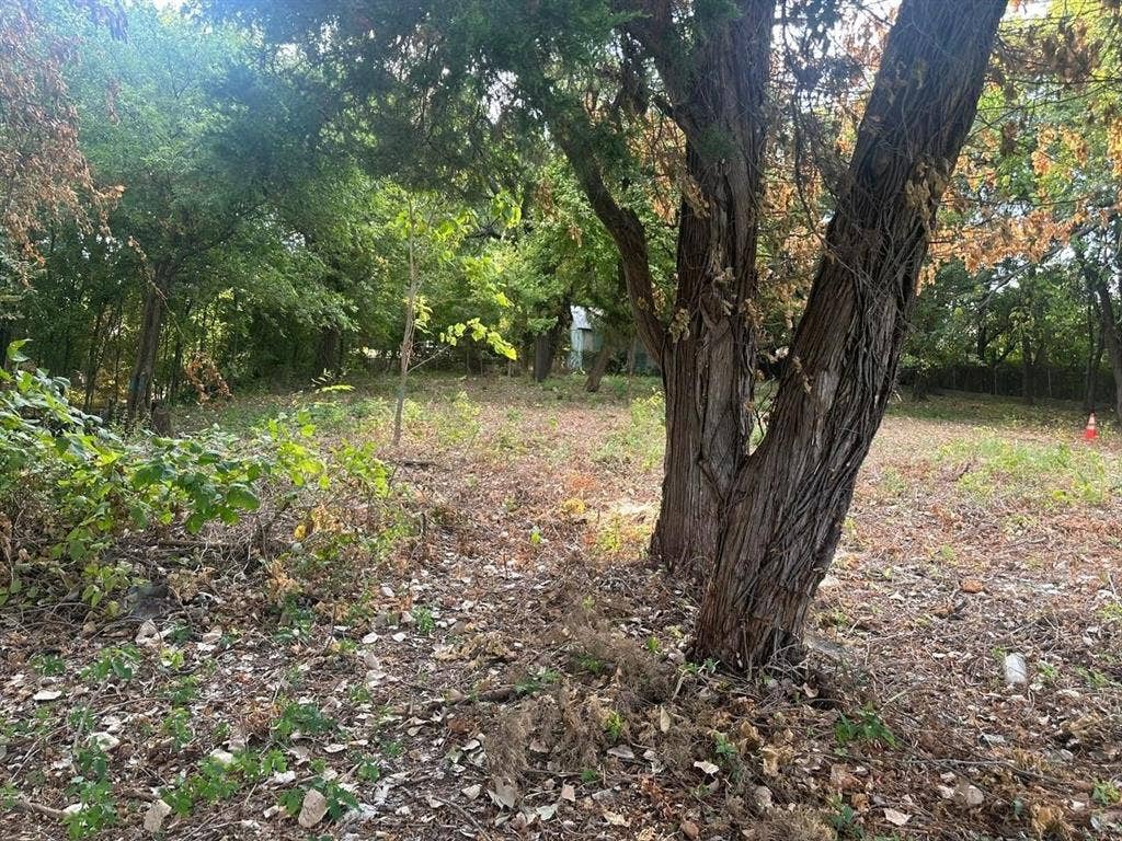 331 E Bear Creek Road, Glenn Heights, TX 75154 331 E Bear Creek Road, Glenn Heights, TX 75154