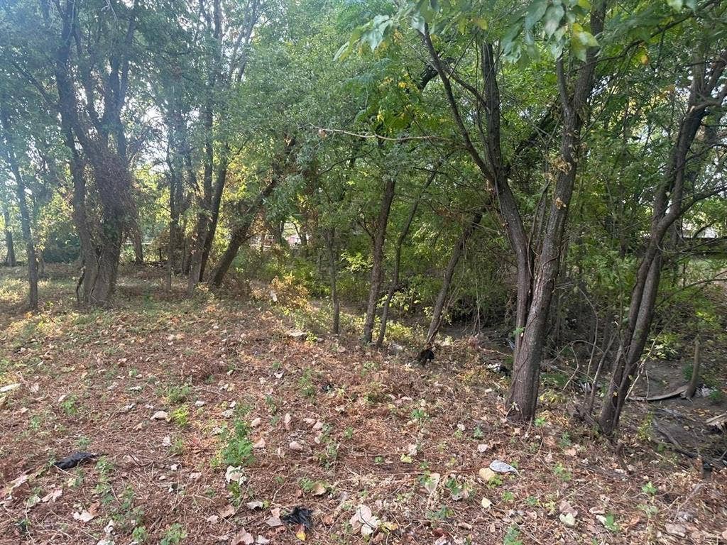 331 E Bear Creek Road, Glenn Heights, TX 75154 331 E Bear Creek Road, Glenn Heights, TX 75154
