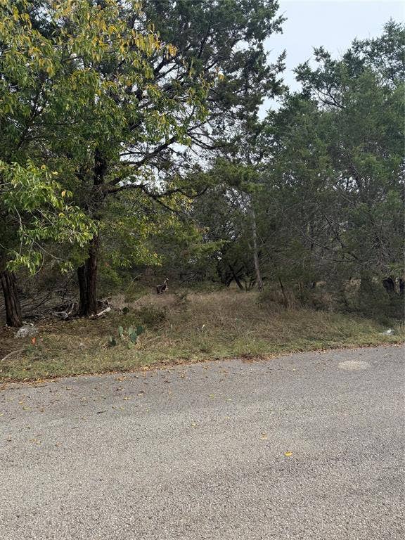 Property photo for 0 Teakwood Lane, Morgans Point Resort, TX