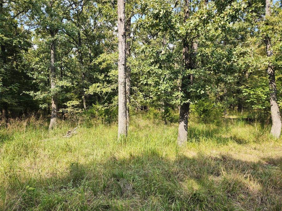 Property photo for Lot 31 Fox Point Road, Quinlan, TX