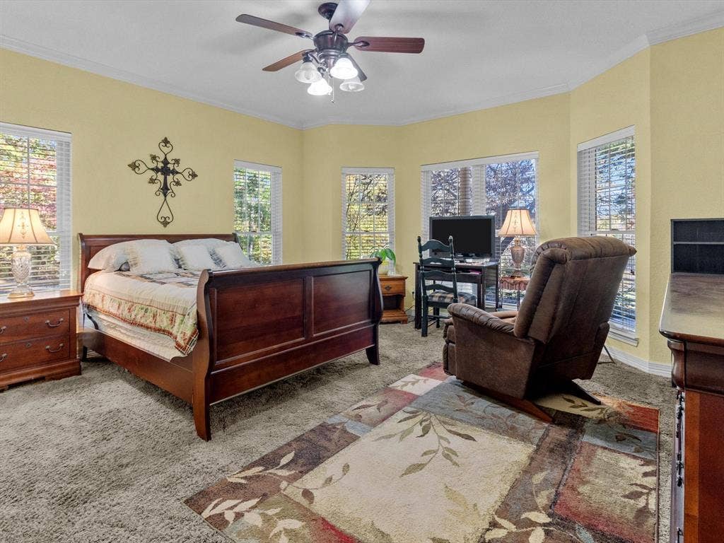 20941 Fm 16 W, Lindale, TX 75771 Bedroom featuring ornamental molding, multiple windows, carpet floors, and a ceiling fan