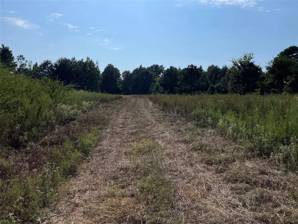 0 County Road 305, Frankston, TX 75763 0 County Road 305, Frankston, TX 75763