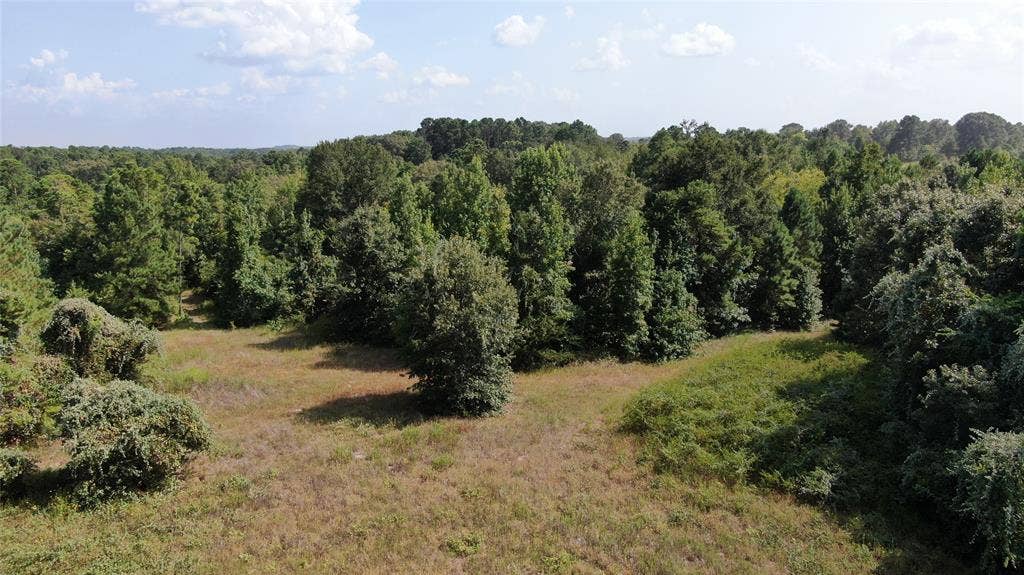 0 County Road 305, Frankston, TX 75763 0 County Road 305, Frankston, TX 75763