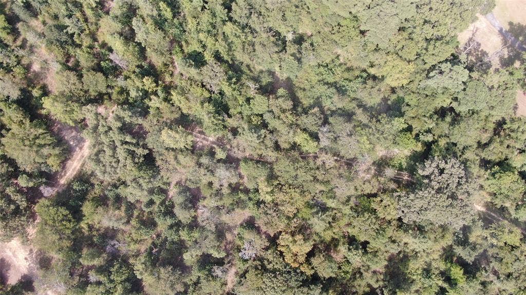 0 County Road 305, Frankston, TX 75763 Trails
