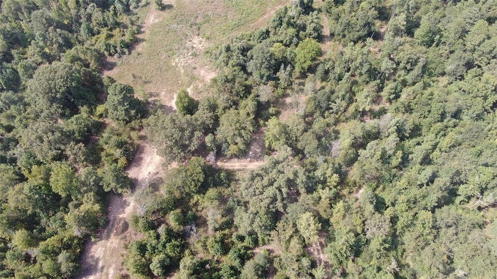 0 County Road 305, Frankston, TX 75763 0 County Road 305, Frankston, TX 75763