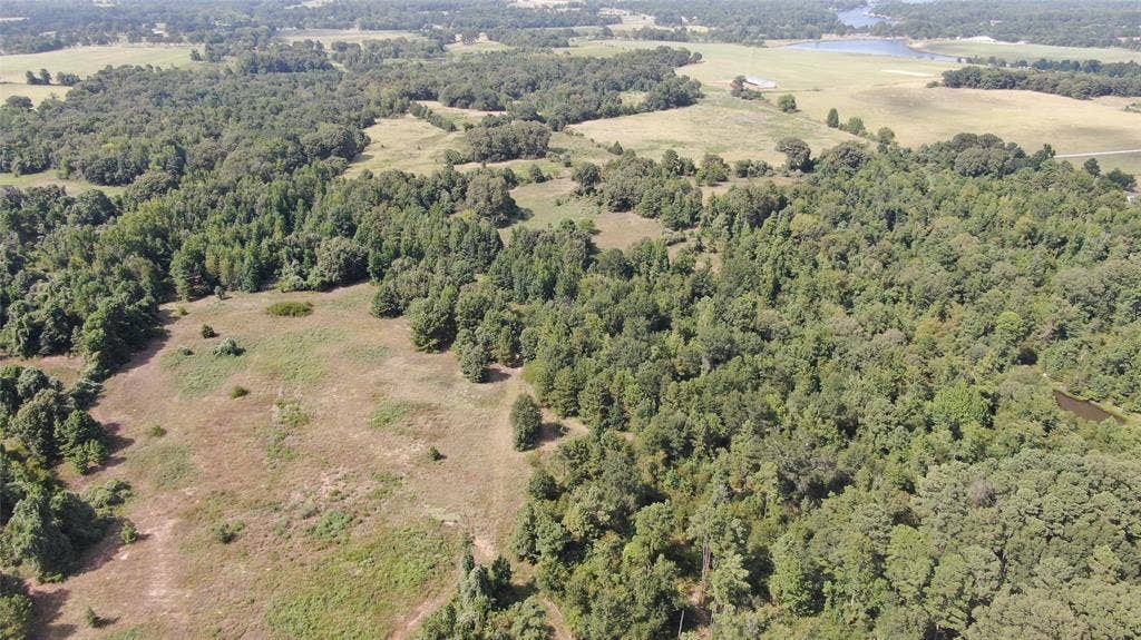 0 County Road 305, Frankston, TX 75763 0 County Road 305, Frankston, TX 75763