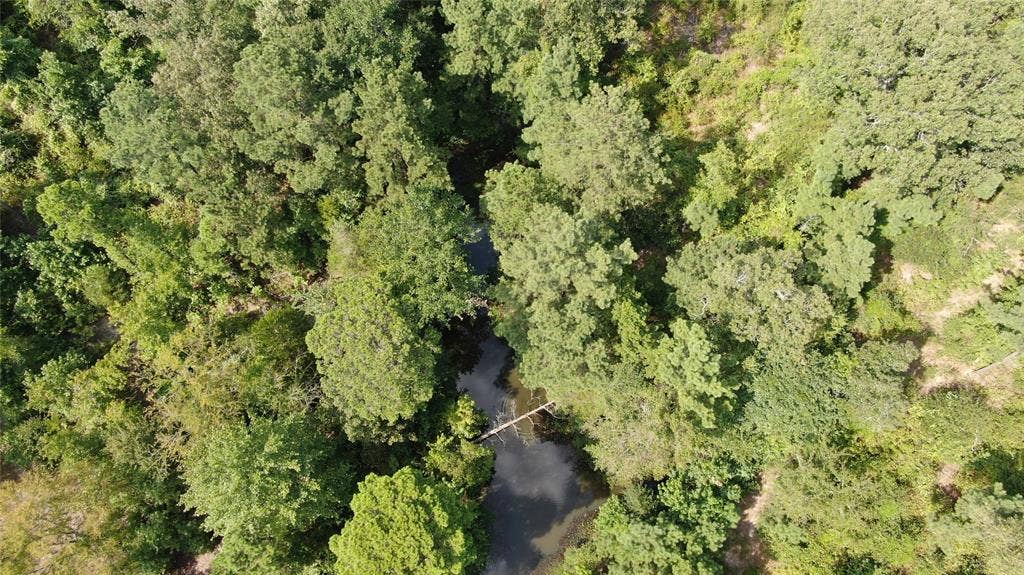 0 County Road 305, Frankston, TX 75763 0 County Road 305, Frankston, TX 75763