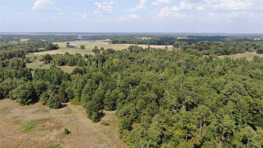 0 County Road 305, Frankston, TX 75763 0 County Road 305, Frankston, TX 75763