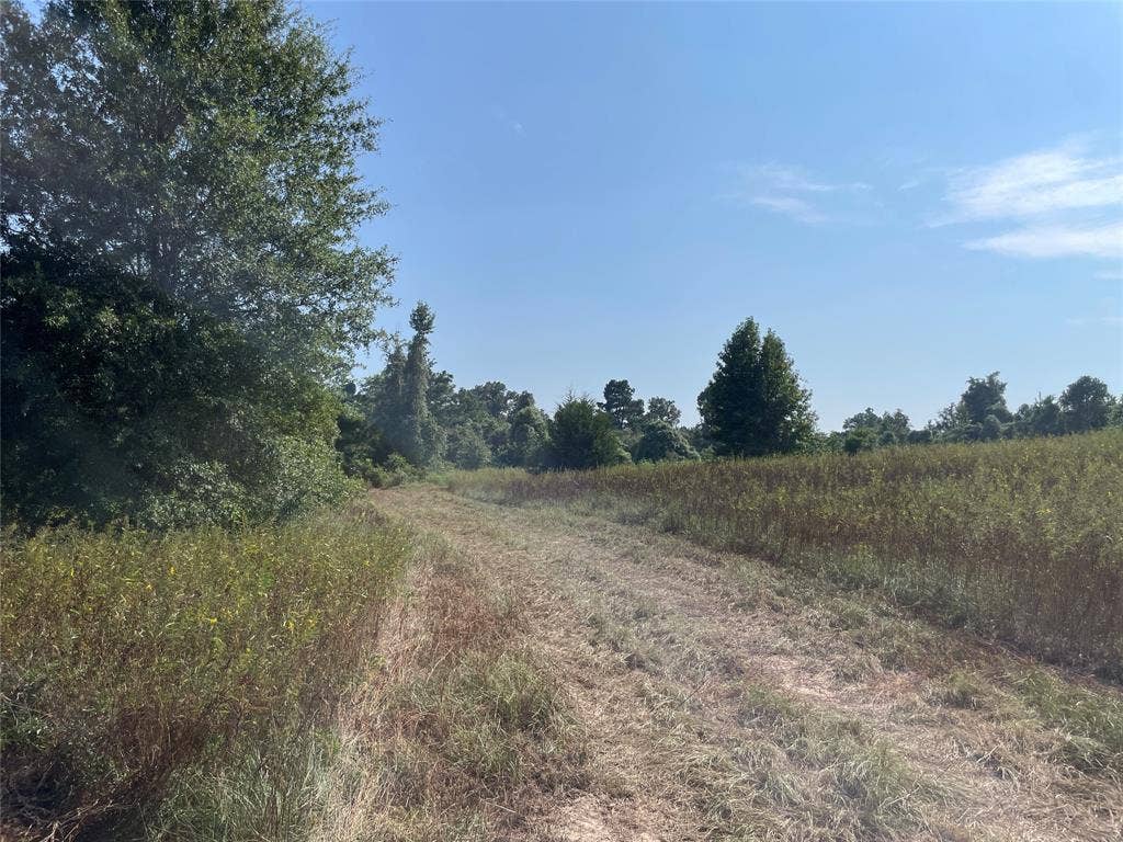0 County Road 305, Frankston, TX 75763 0 County Road 305, Frankston, TX 75763