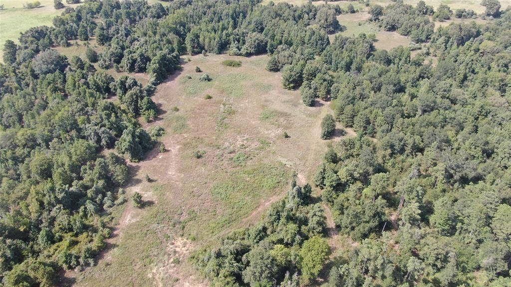 0 County Road 305, Frankston, TX 75763 0 County Road 305, Frankston, TX 75763