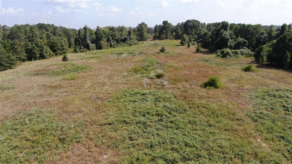 0 County Road 305, Frankston, TX 75763 0 County Road 305, Frankston, TX 75763