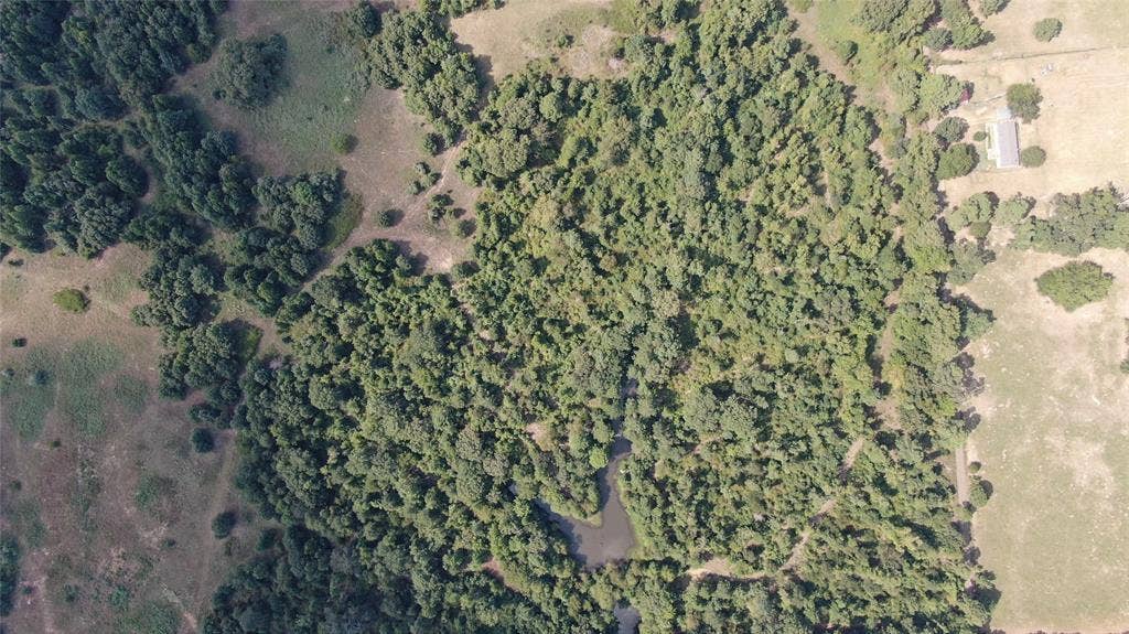 0 County Road 305, Frankston, TX 75763 0 County Road 305, Frankston, TX 75763
