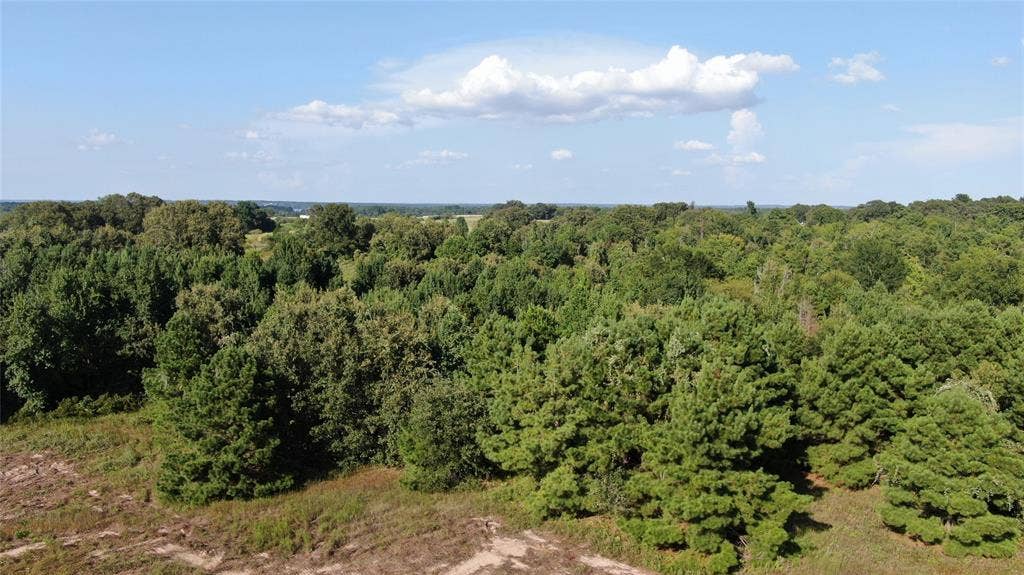 0 County Road 305, Frankston, TX 75763 0 County Road 305, Frankston, TX 75763