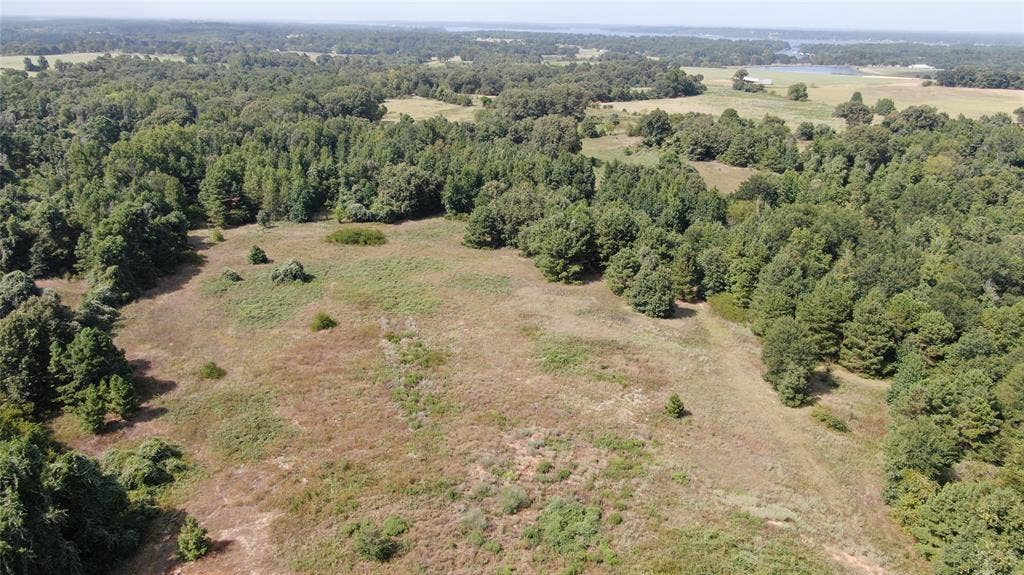0 County Road 305, Frankston, TX 75763 0 County Road 305, Frankston, TX 75763