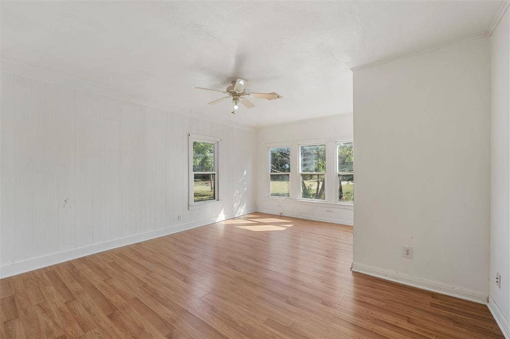 12145 Tree Lake Drive, Waco, TX 76708 Spare room featuring light wood-type flooring, ornamental molding, and ceiling fan
