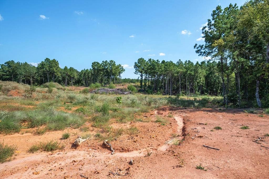 18021 State Highway 155 S, Flint, TX 75762 18021 State Highway 155 S, Flint, TX 75762