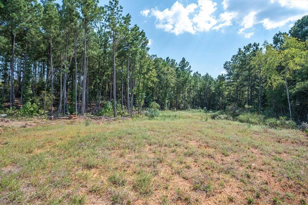 18021 State Highway 155 S, Flint, TX 75762 18021 State Highway 155 S, Flint, TX 75762