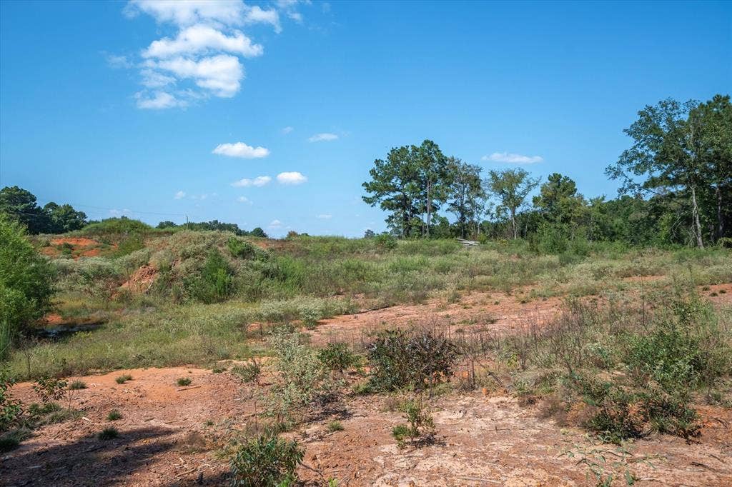 18021 State Highway 155 S, Flint, TX 75762 18021 State Highway 155 S, Flint, TX 75762